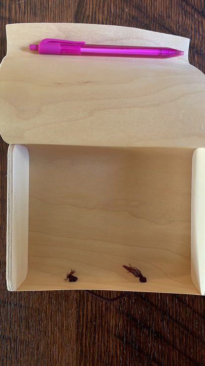 Scripture Box--Child of God