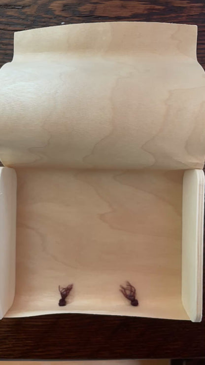 Scripture Box--Promises of God